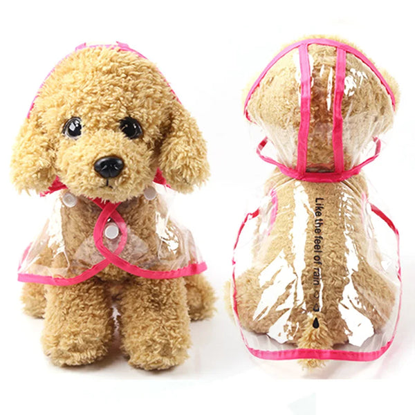 Small dog wearing a transparent raincoat with pink trim on a white background